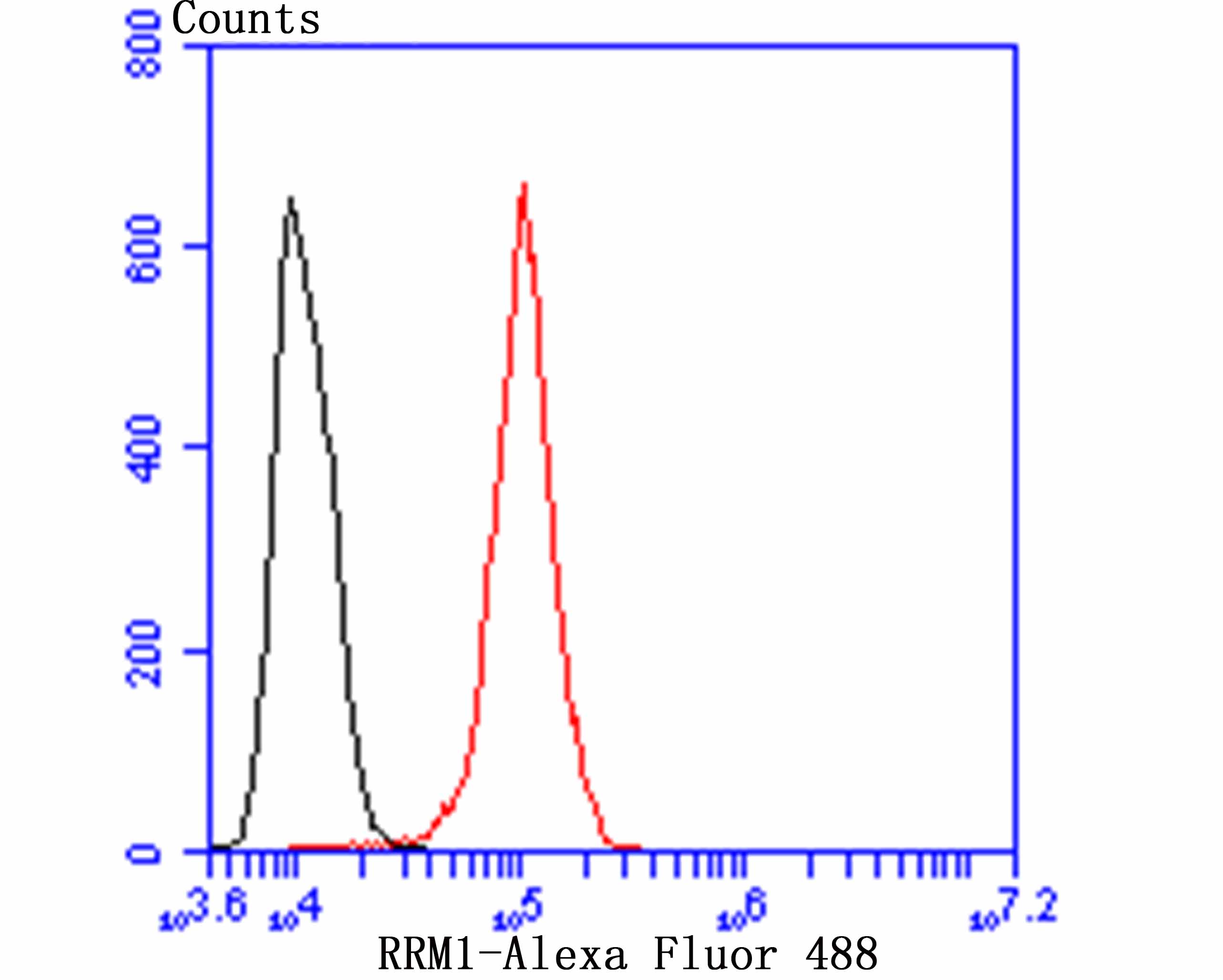 RRM1 Rabbit mAb