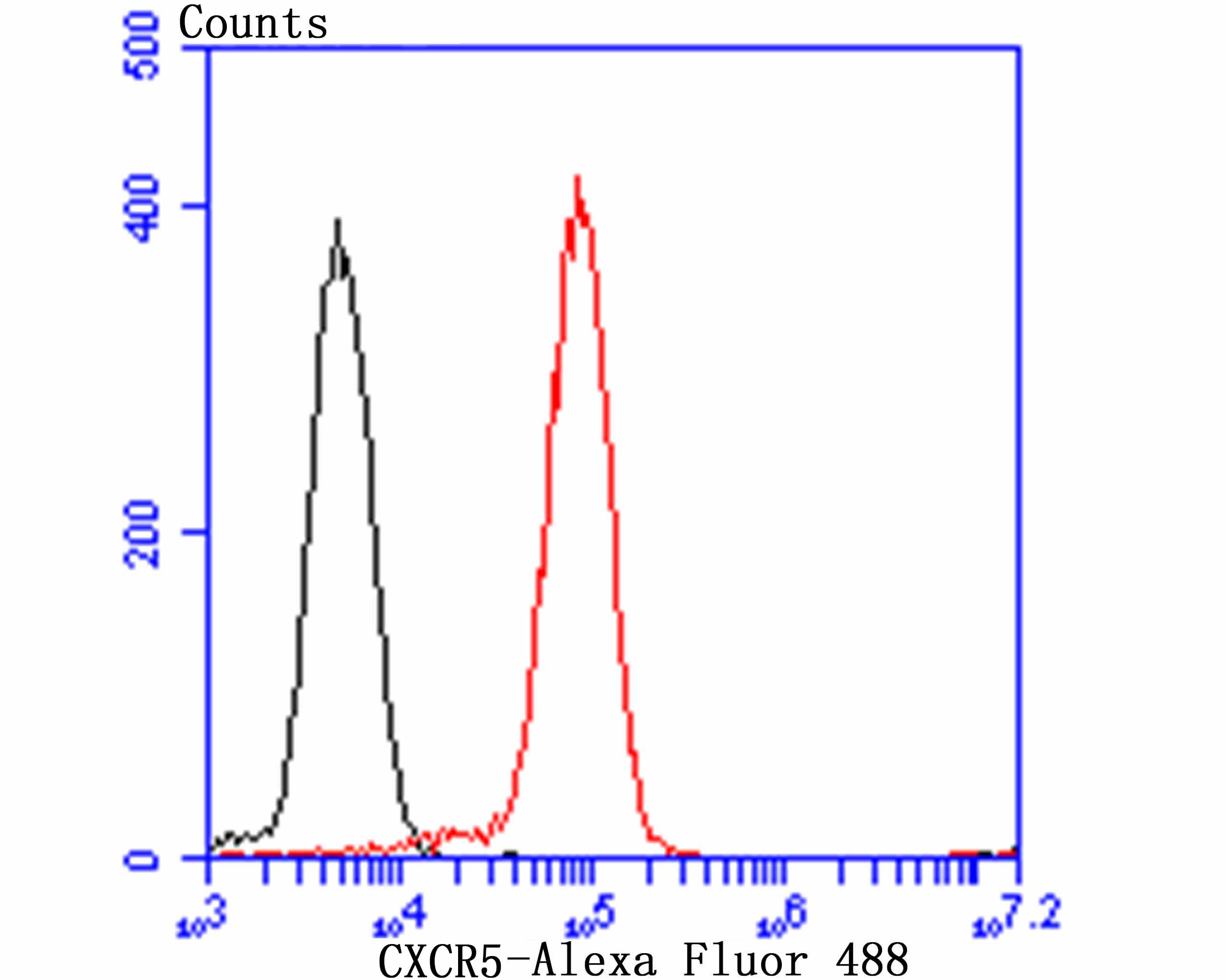 CXCR5 Rabbit mAb