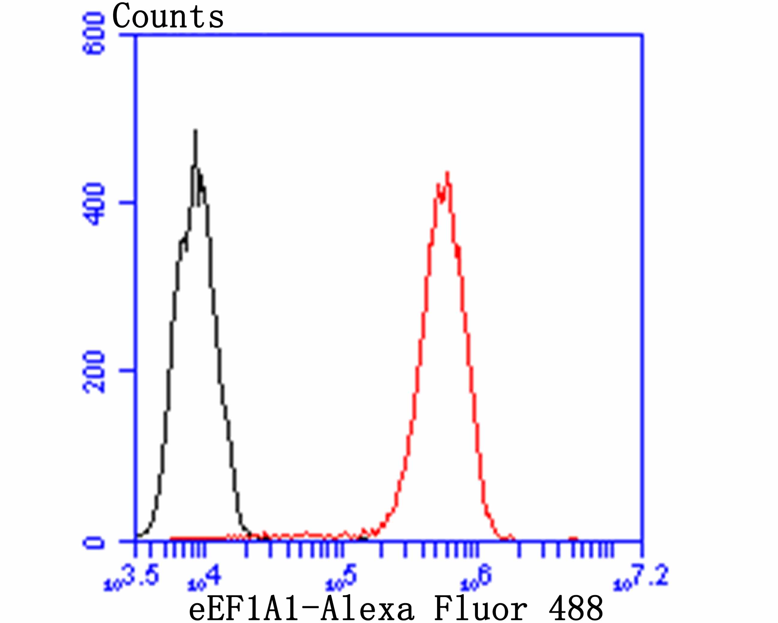 eEF1A1 Rabbit mAb