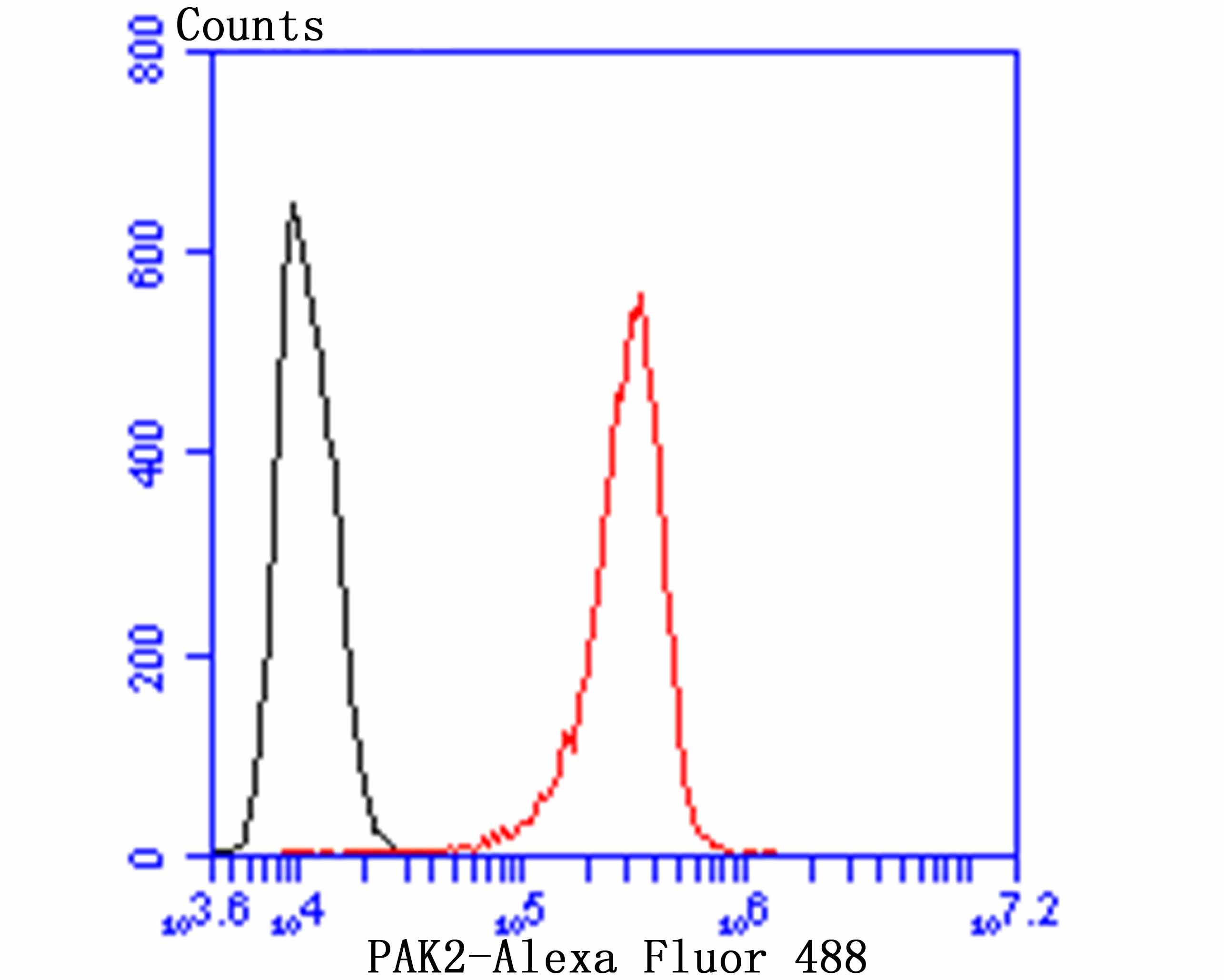 PAK2 Rabbit mAb