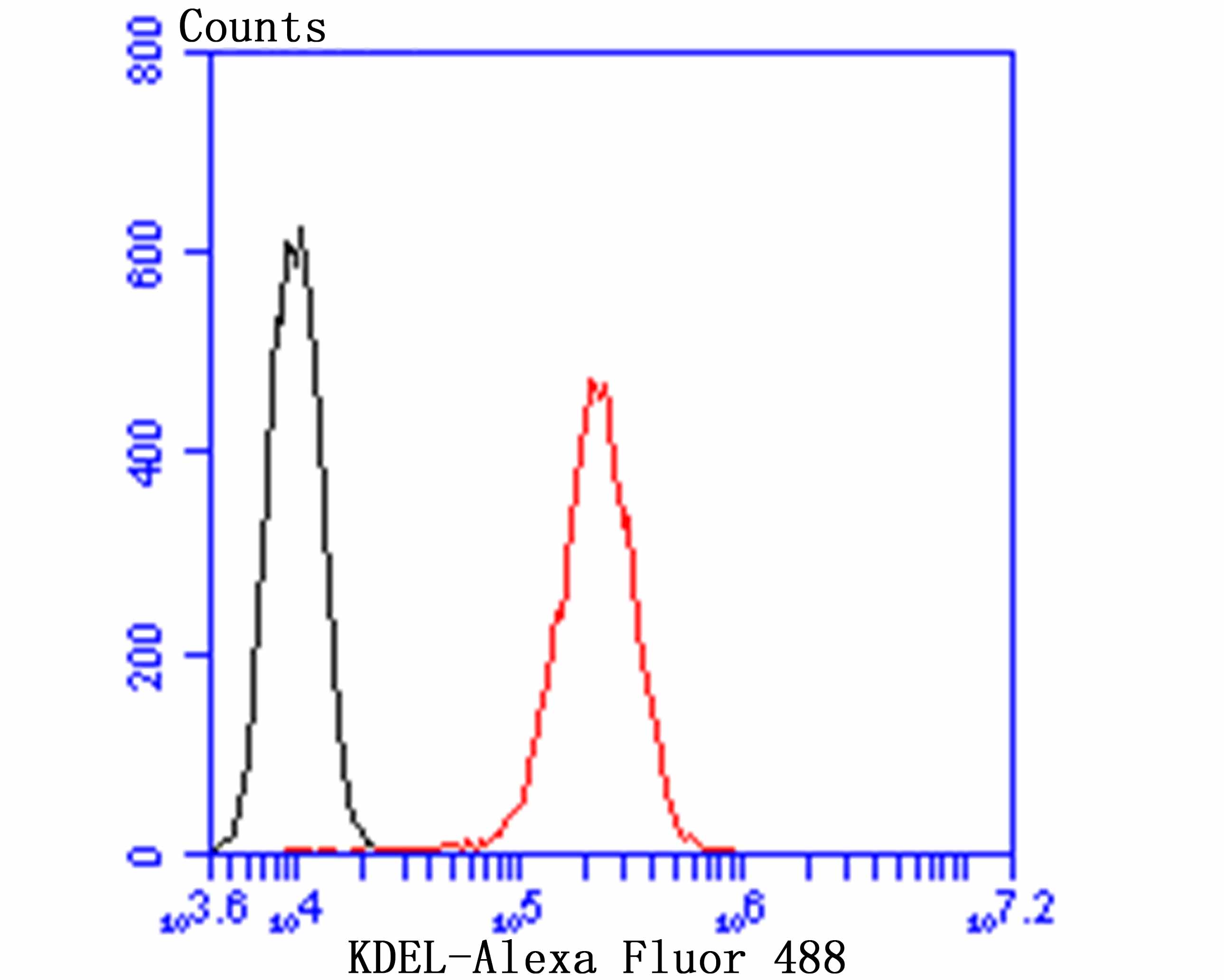 KDEL Rabbit mAb