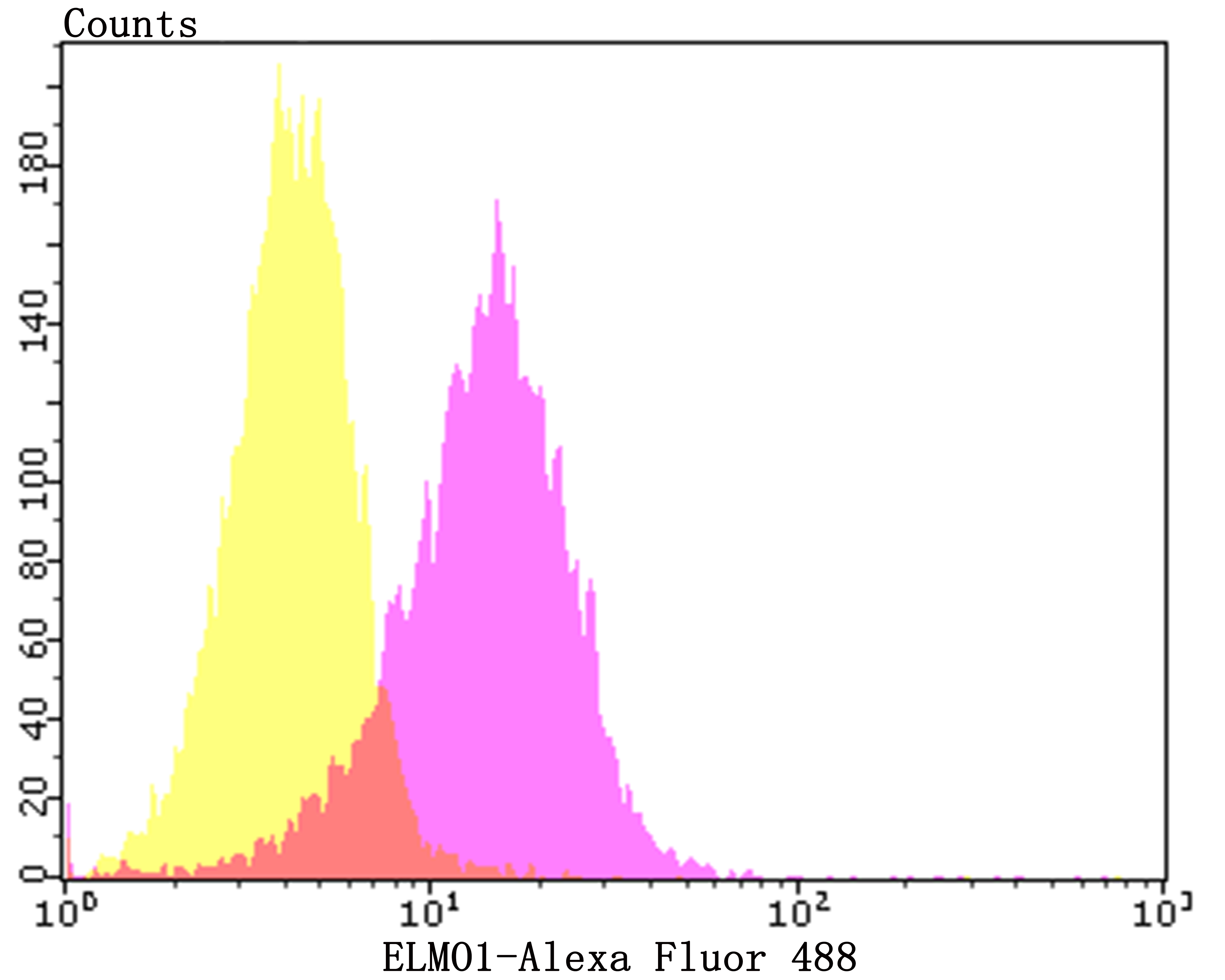 ELMO1 Rabbit mAb