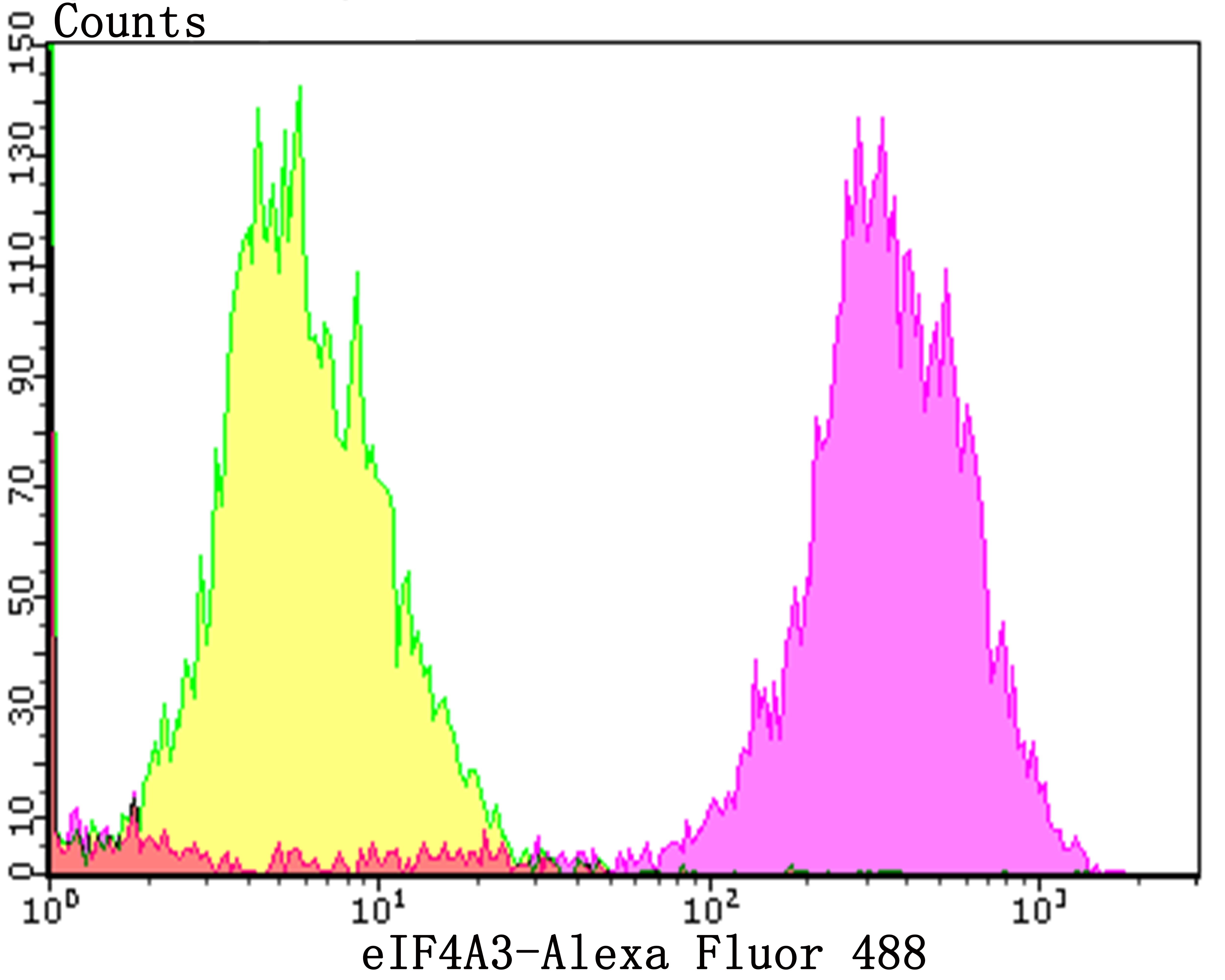 eIF4A3 Rabbit mAb