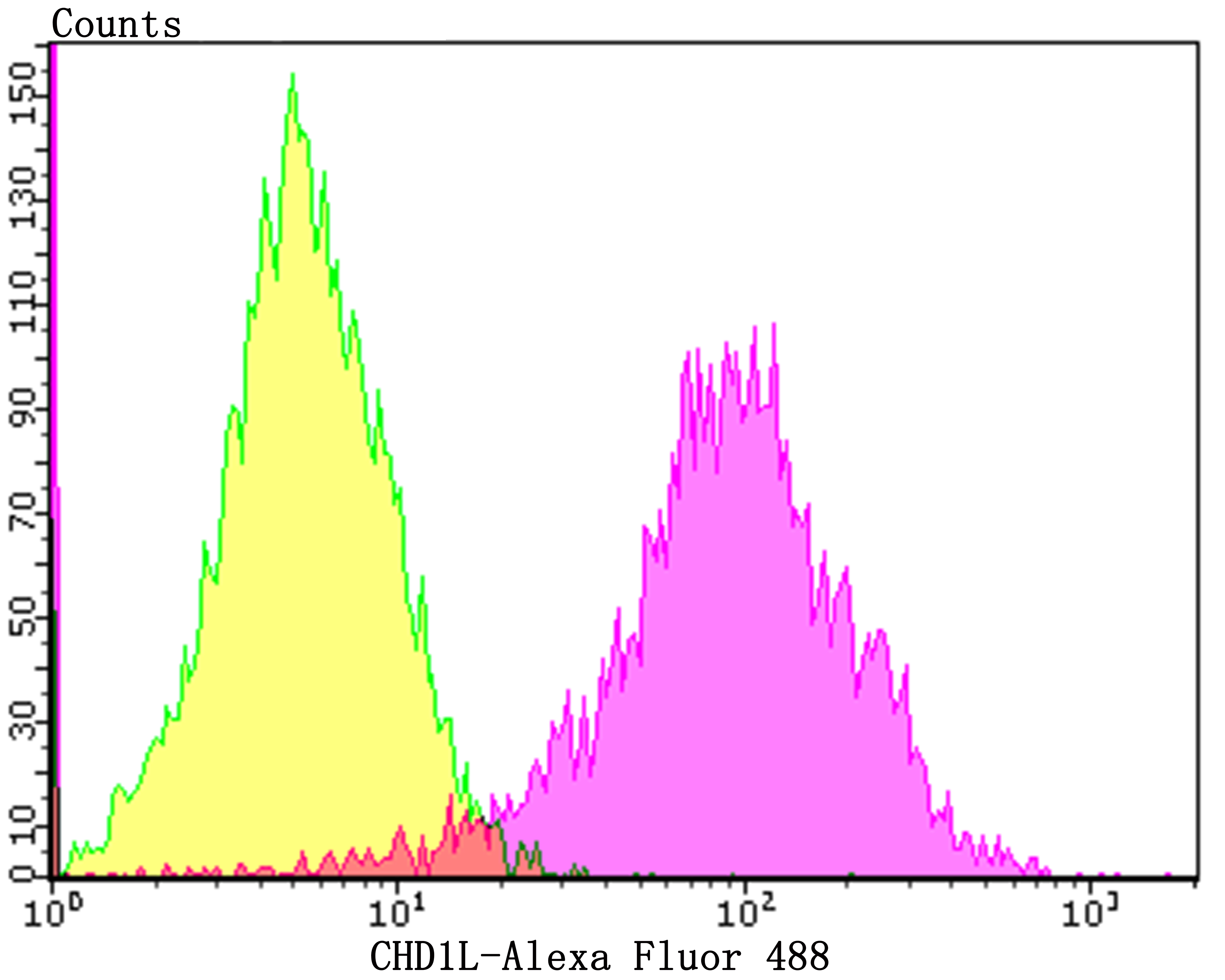 CHD1L Rabbit mAb