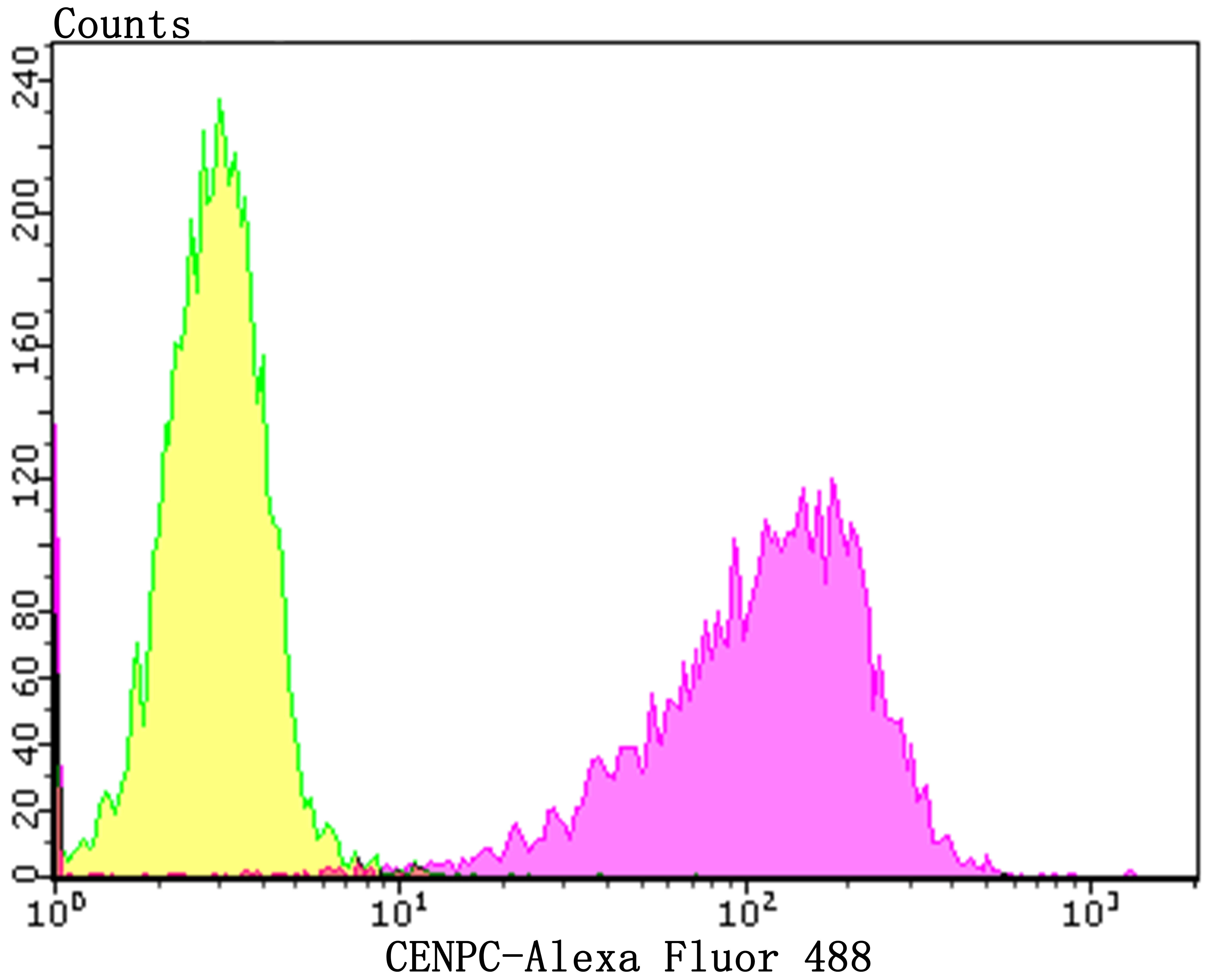 CENPC Rabbit mAb