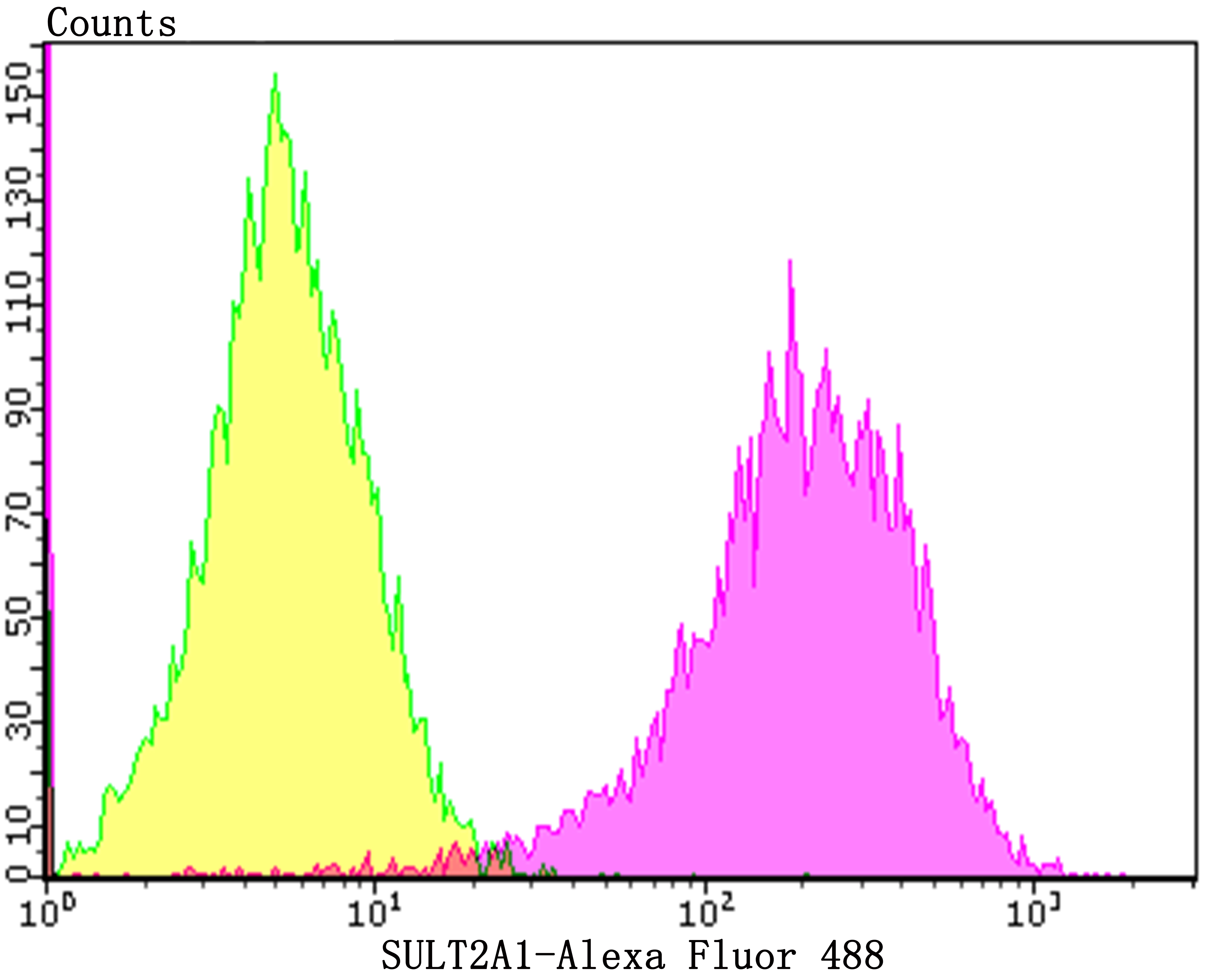 SULT2A1 Rabbit mAb