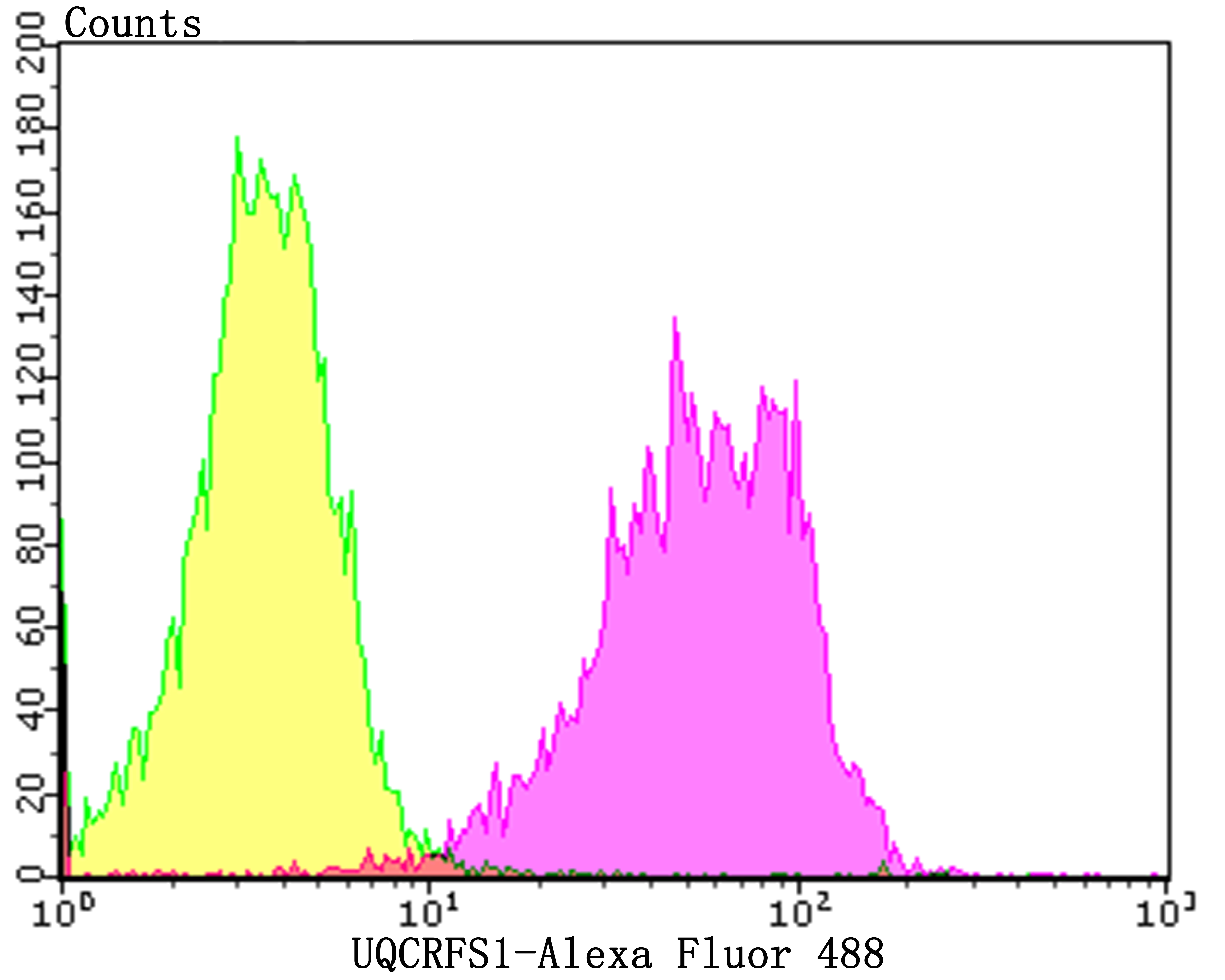 UQCRFS1 Rabbit mAb