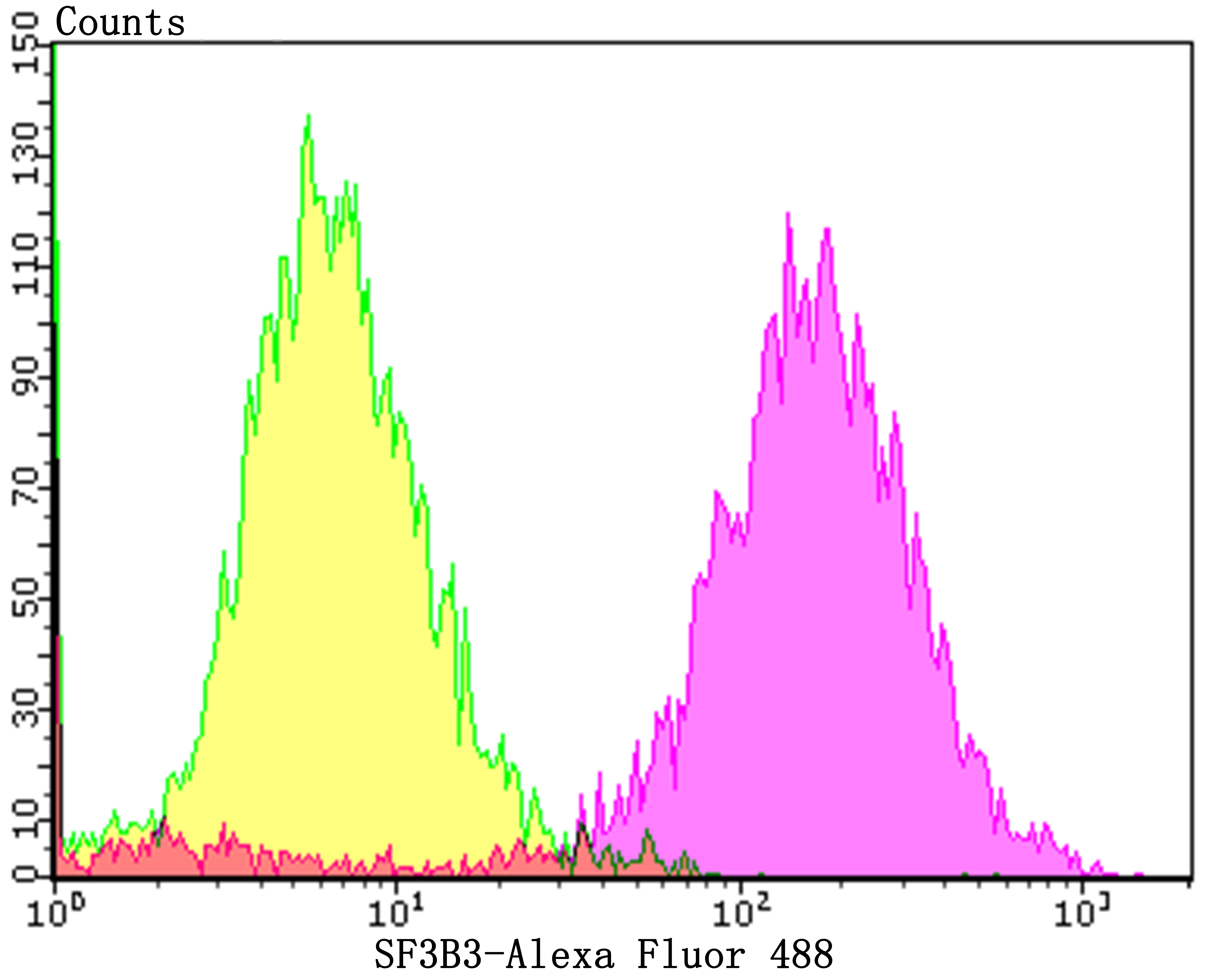 SF3B3 Rabbit mAb