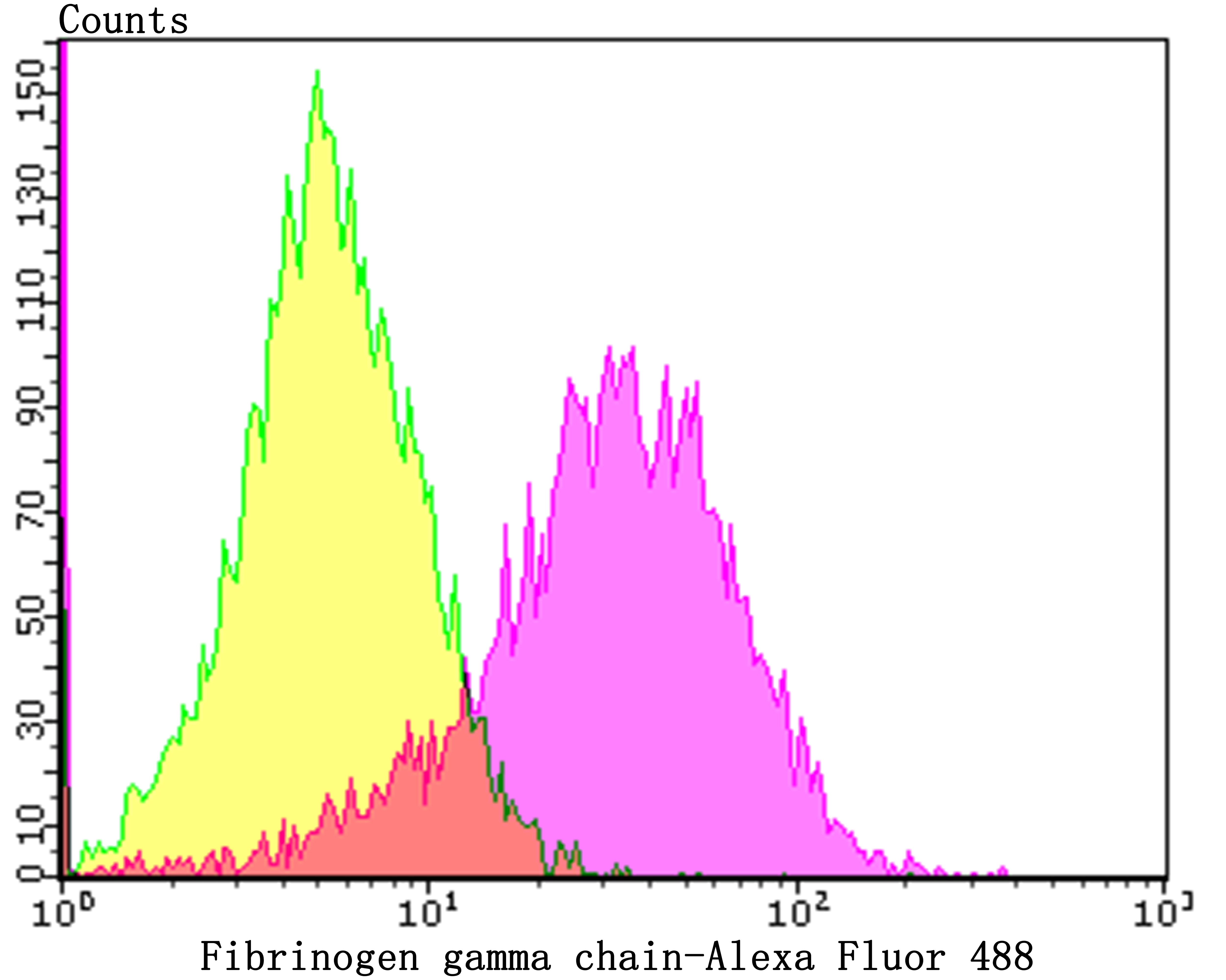 Fibrinogen gamma chain Rabbit mAb