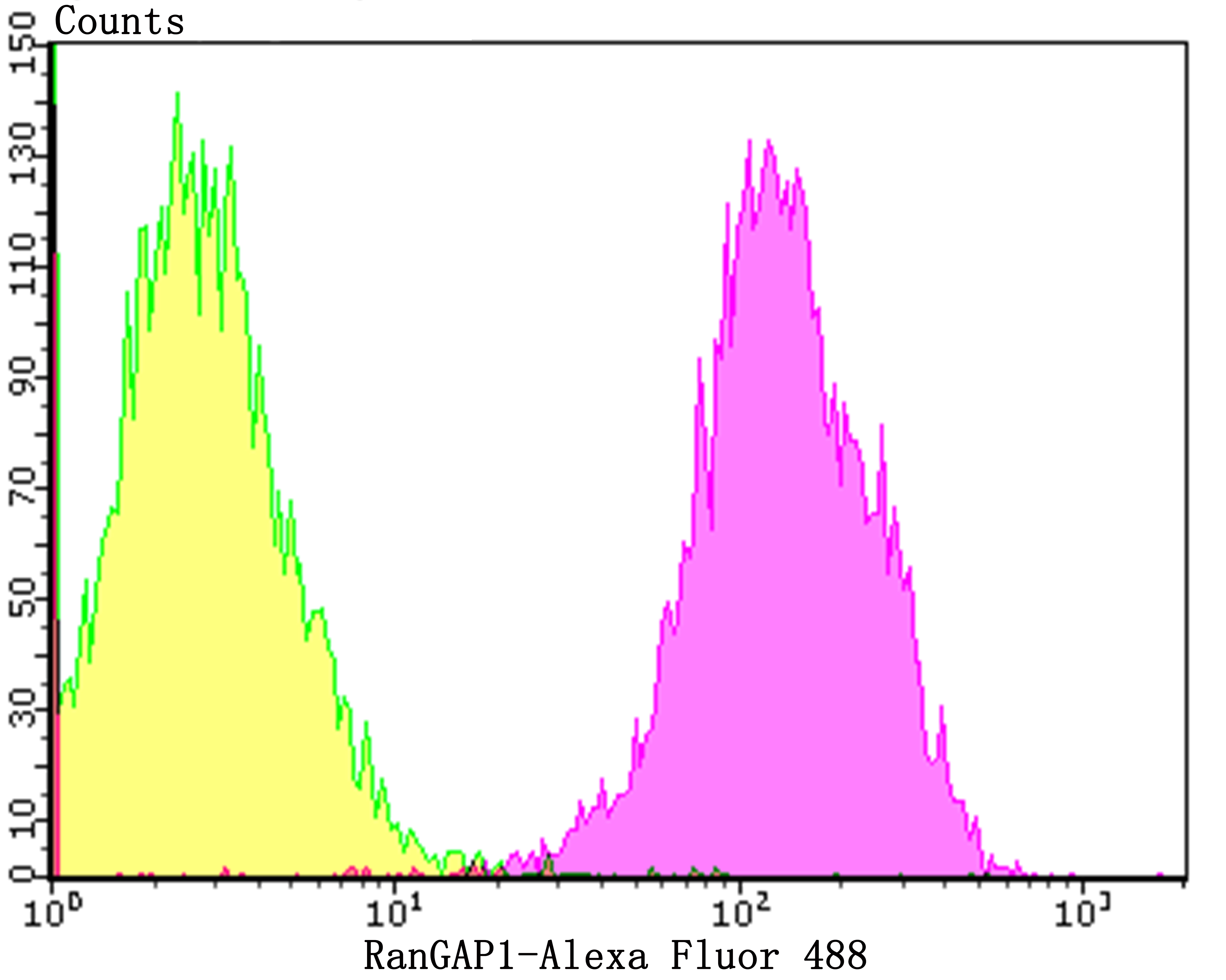 RanGAP1 Rabbit mAb