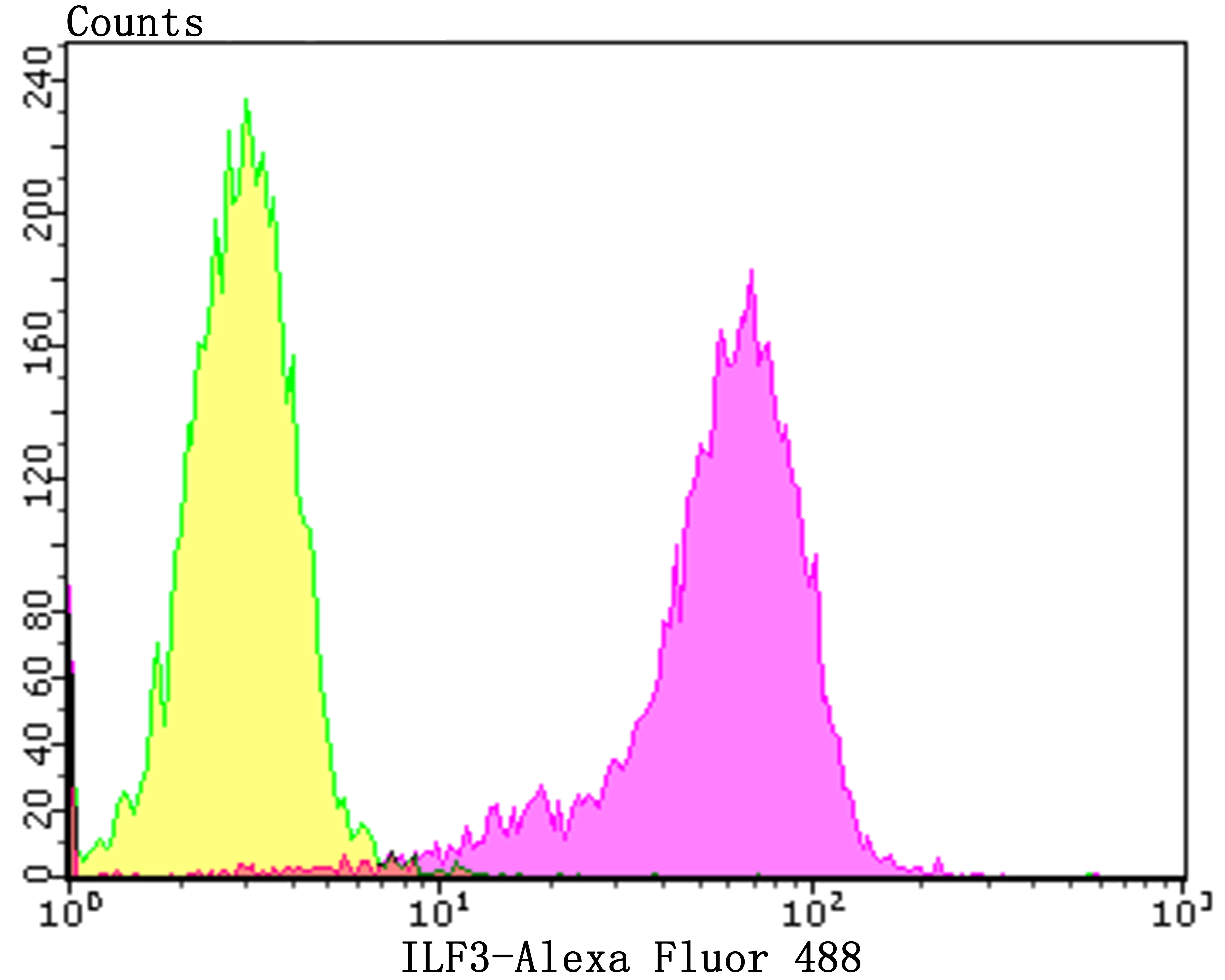 ILF3 Rabbit mAb