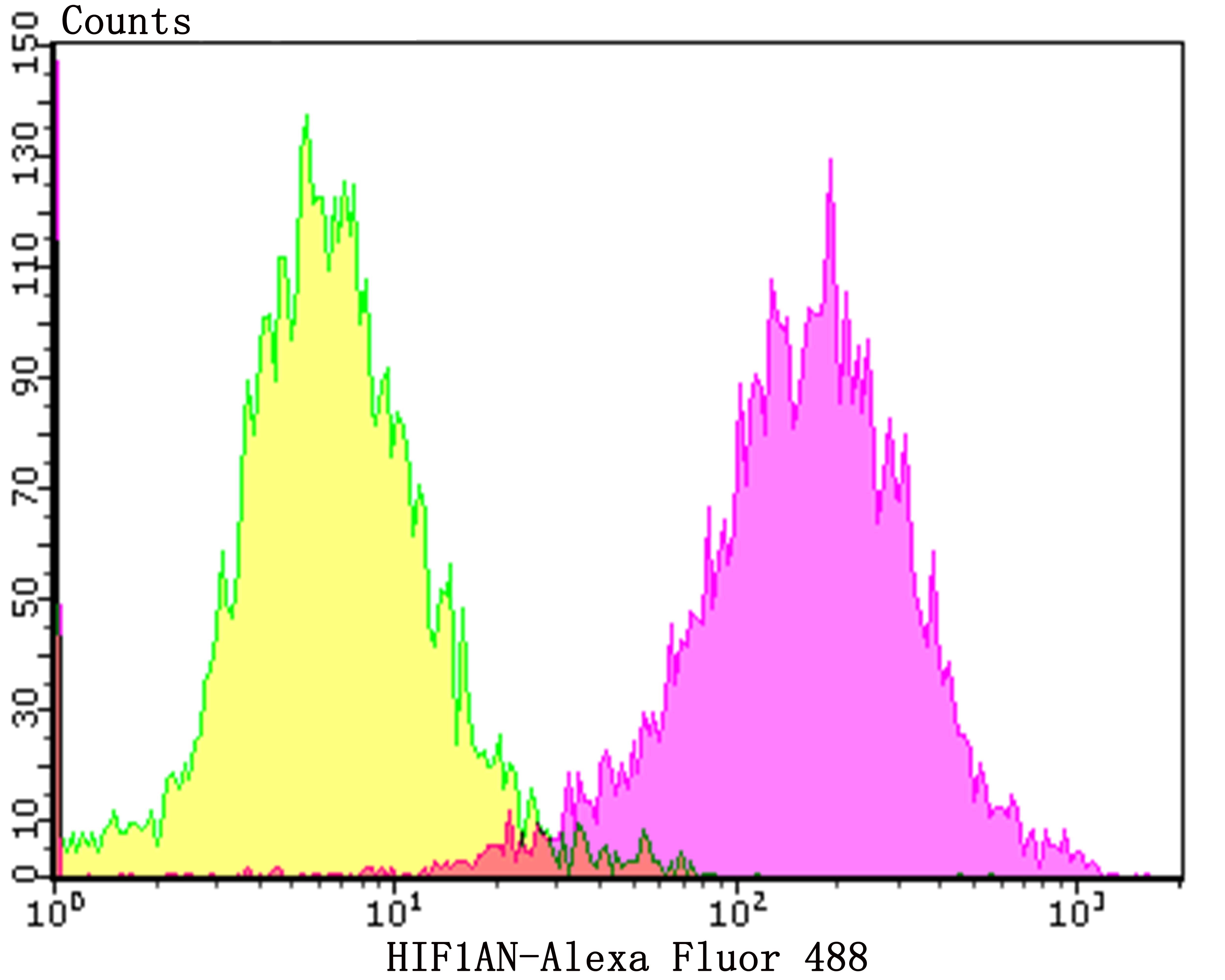 HIF1AN Rabbit mAb