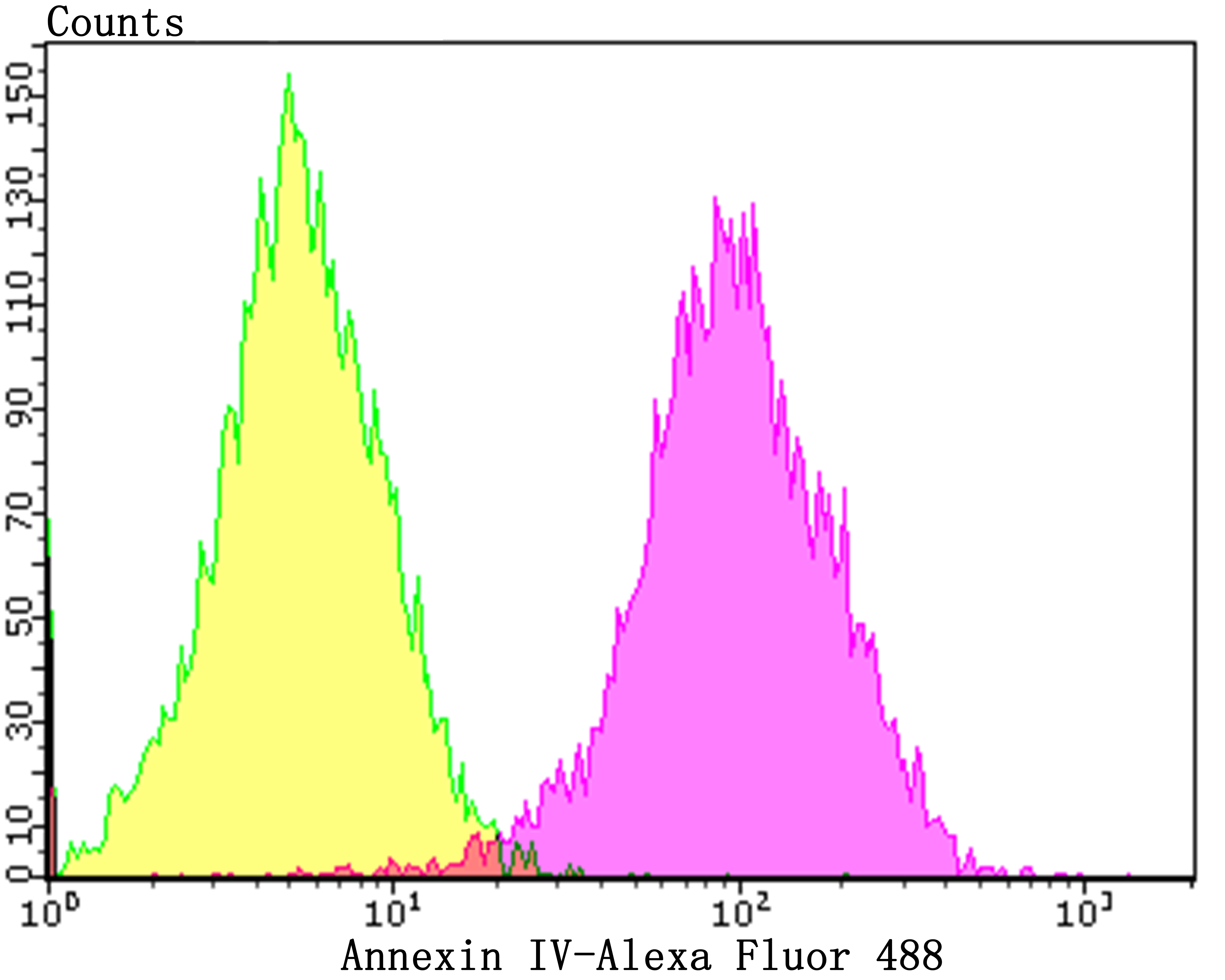 Annexin IV Rabbit mAb