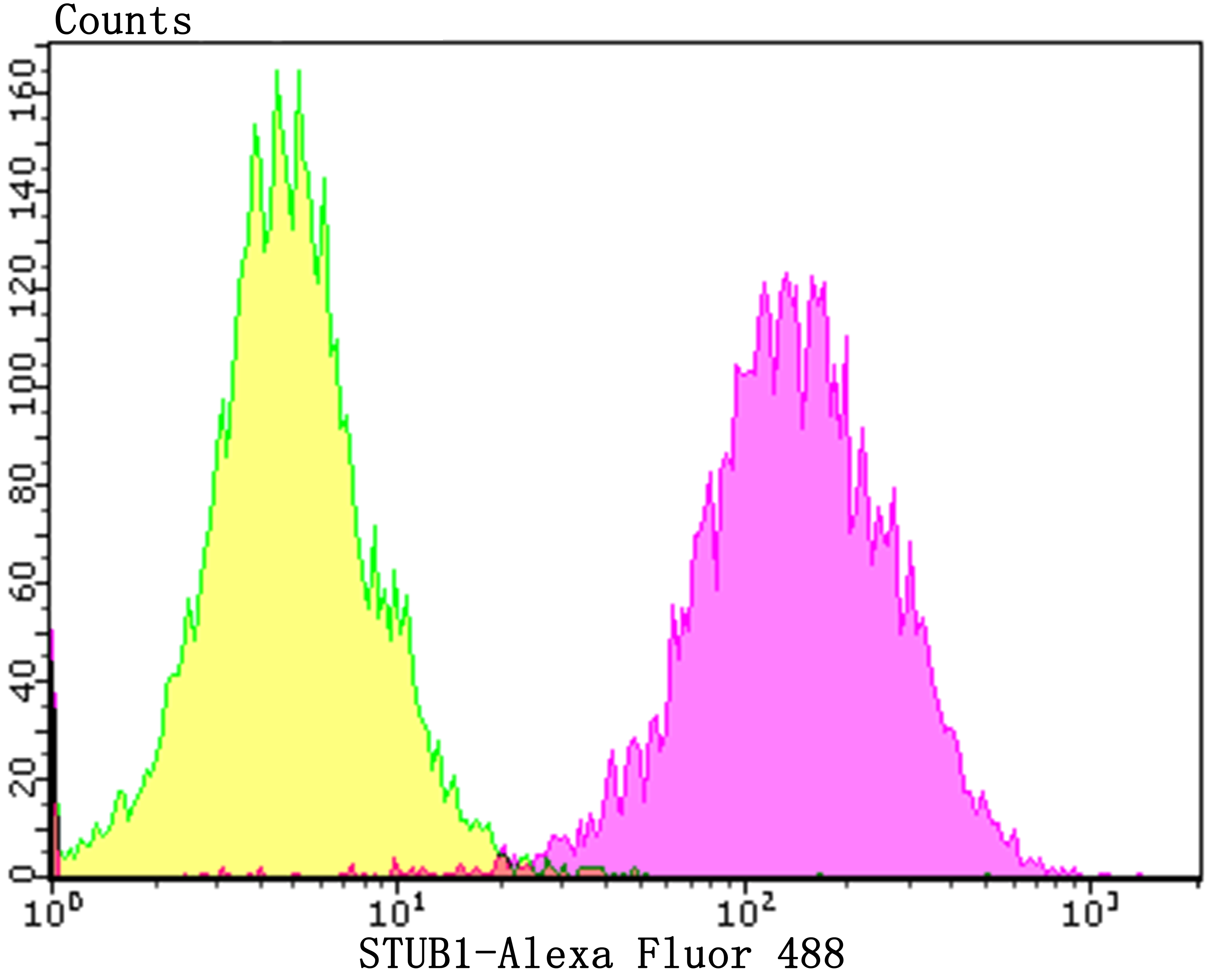 STUB1 Rabbit mAb