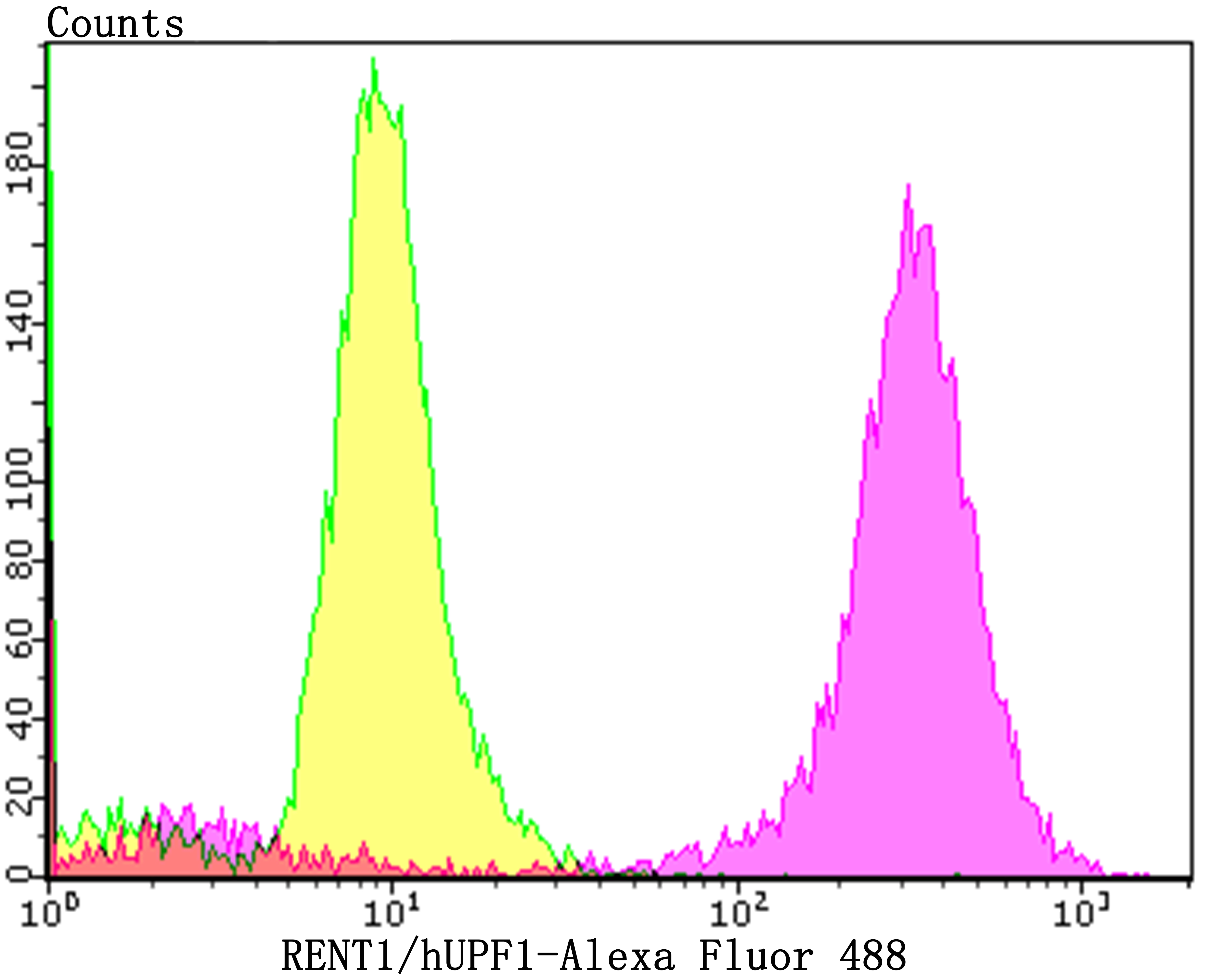 hUPF1 Rabbit mAb