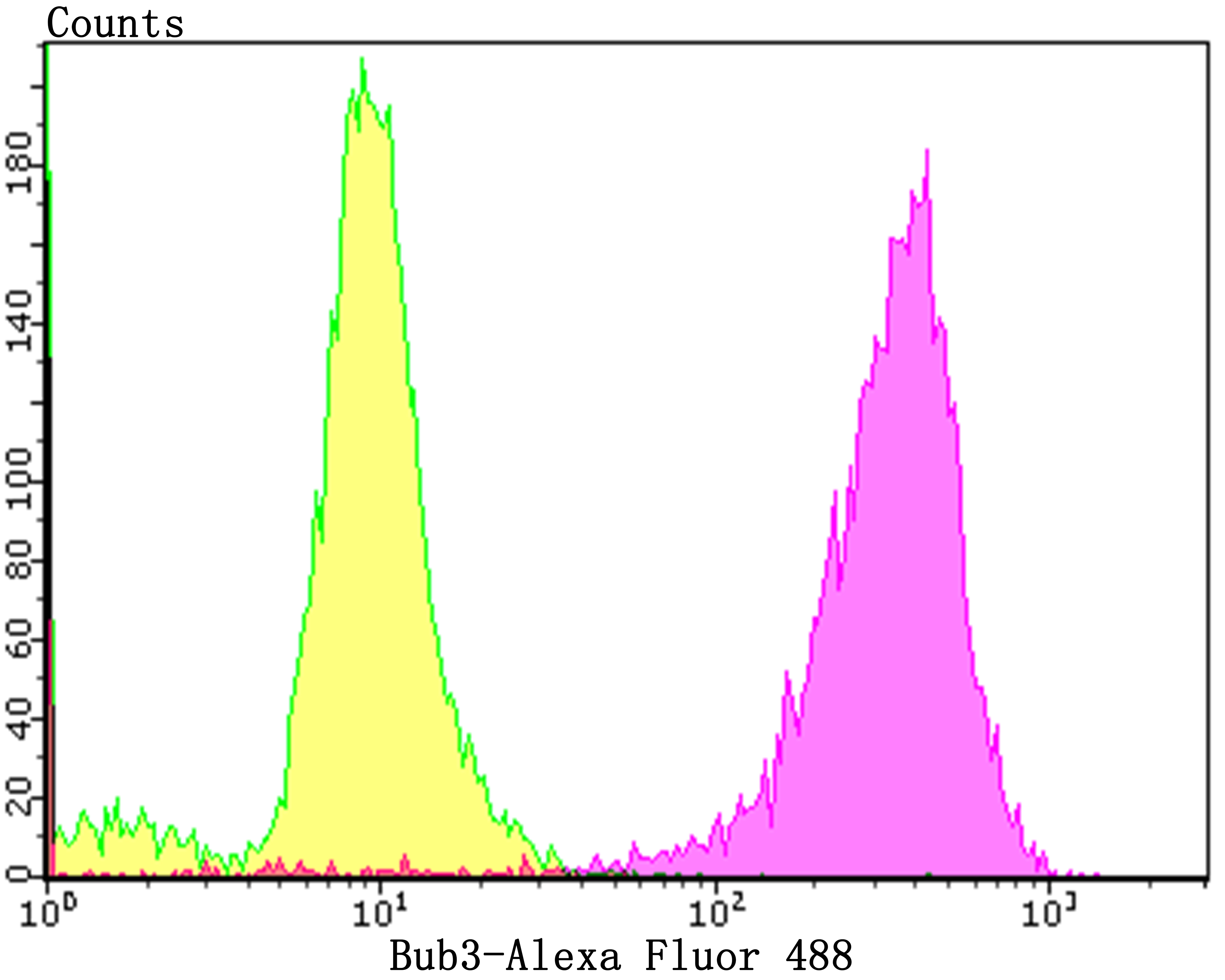 Bub3 Rabbit mAb