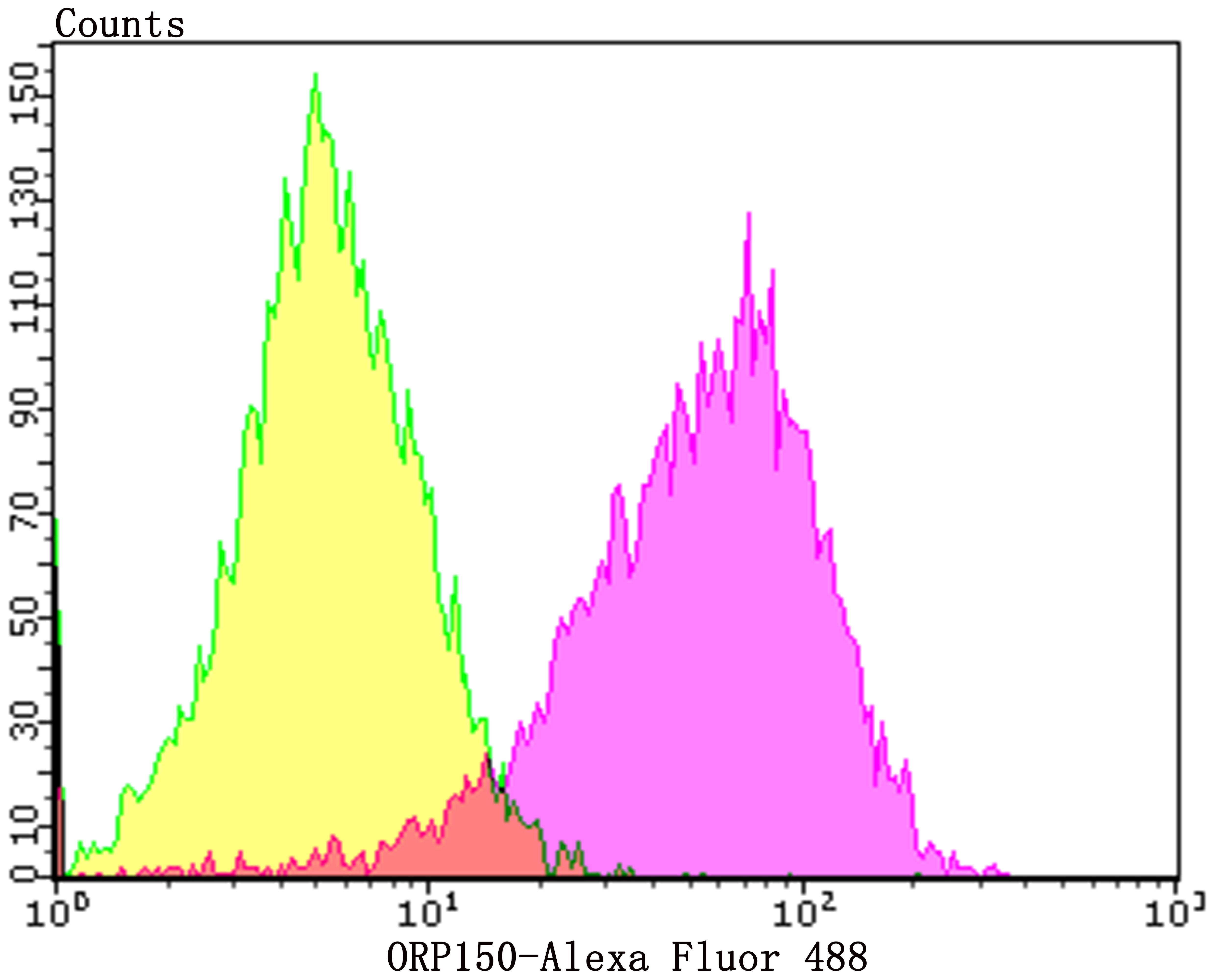 ORP150 Rabbit mAb