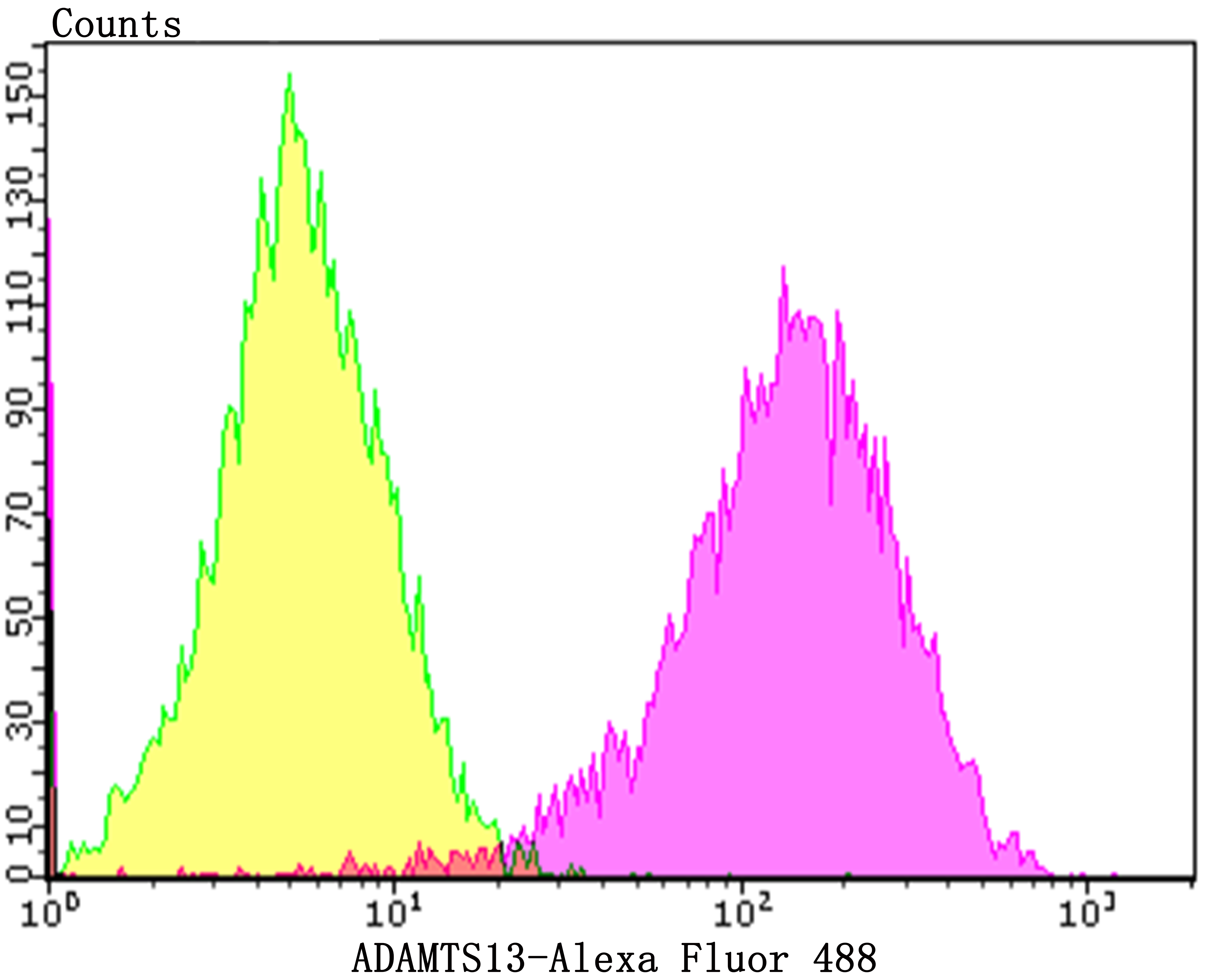 ADAMTS13 Rabbit mAb