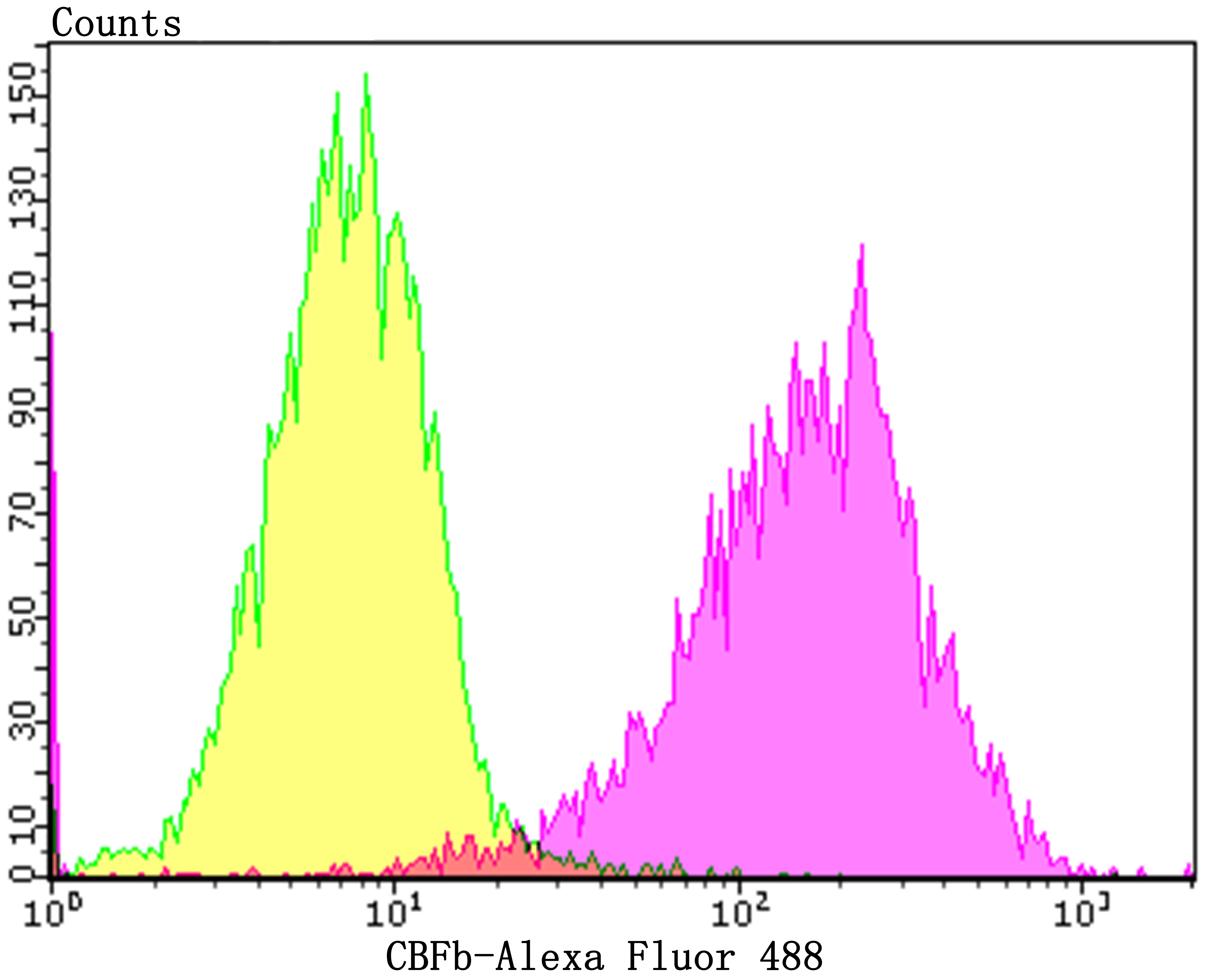 CBFb Rabbit mAb