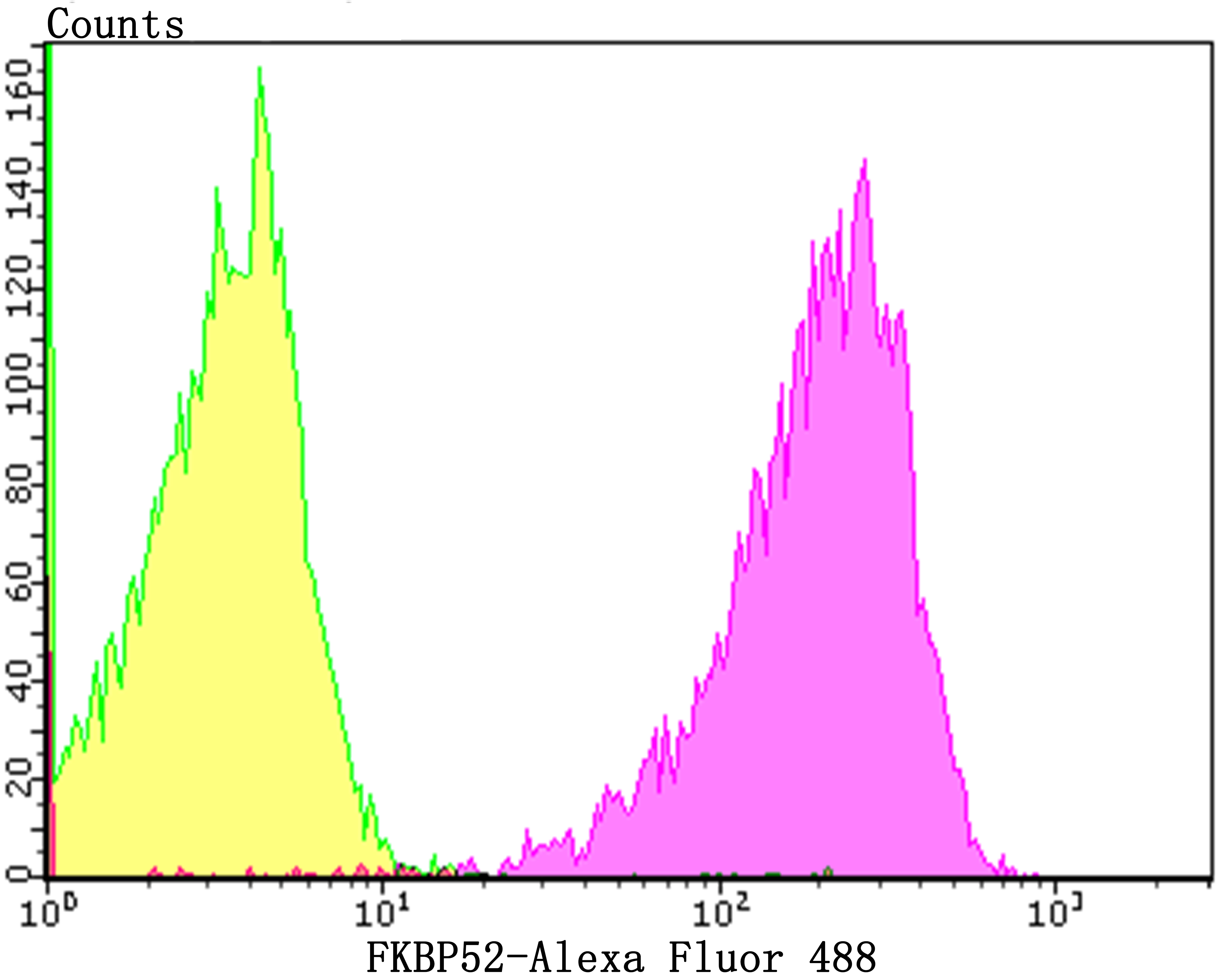 FKBP52 Rabbit mAb