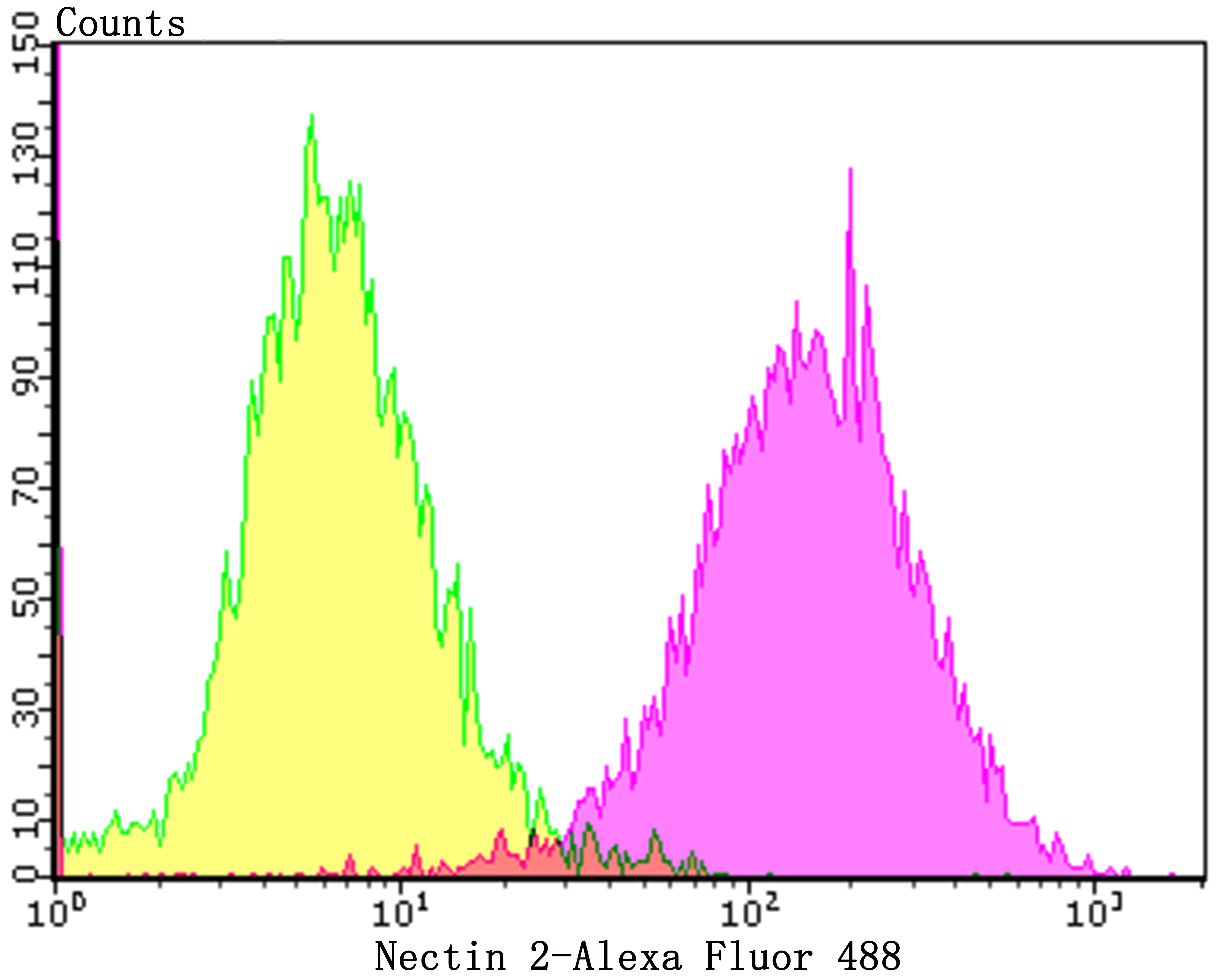 Nectin 2 Rabbit mAb