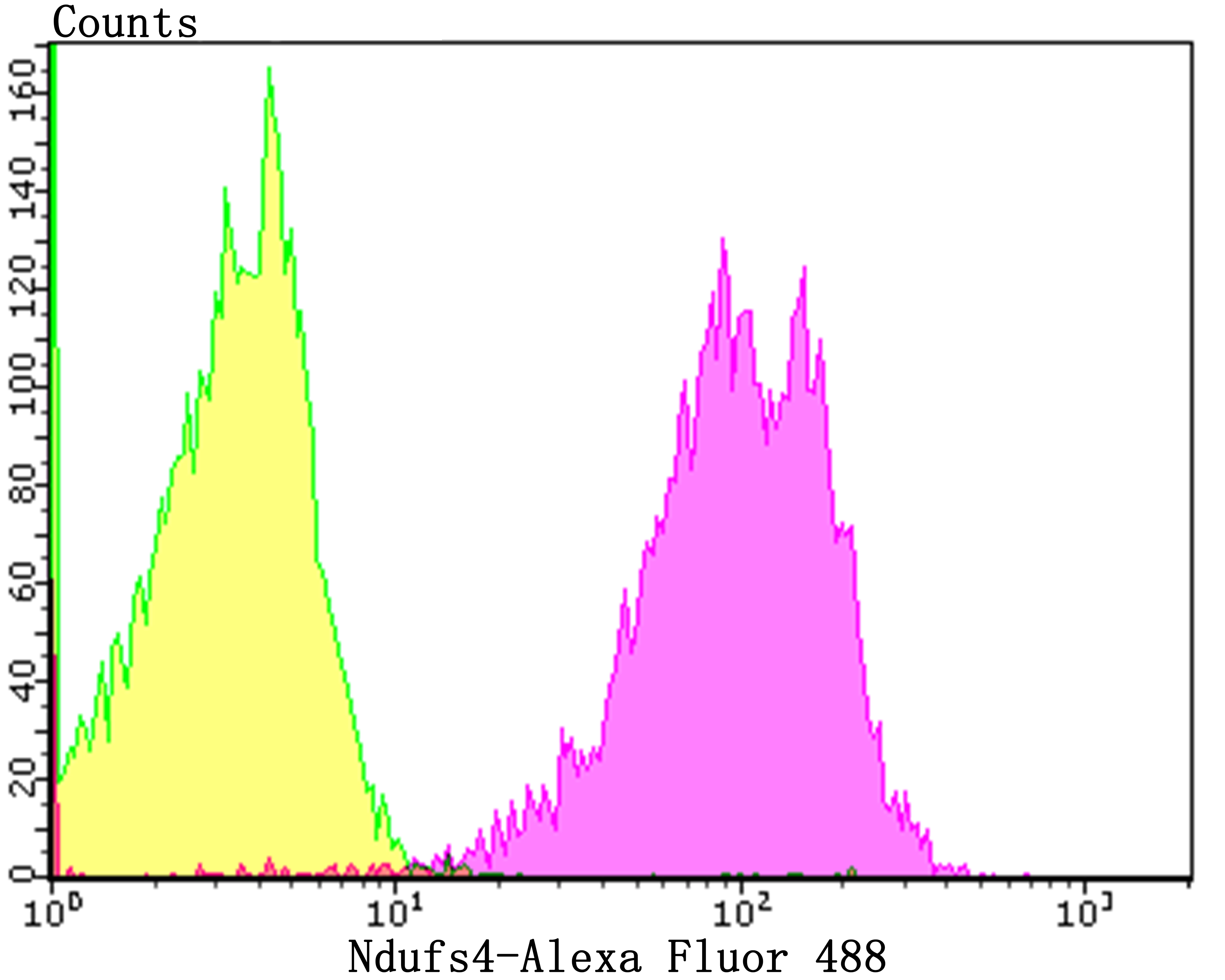 Ndufs4 Rabbit mAb