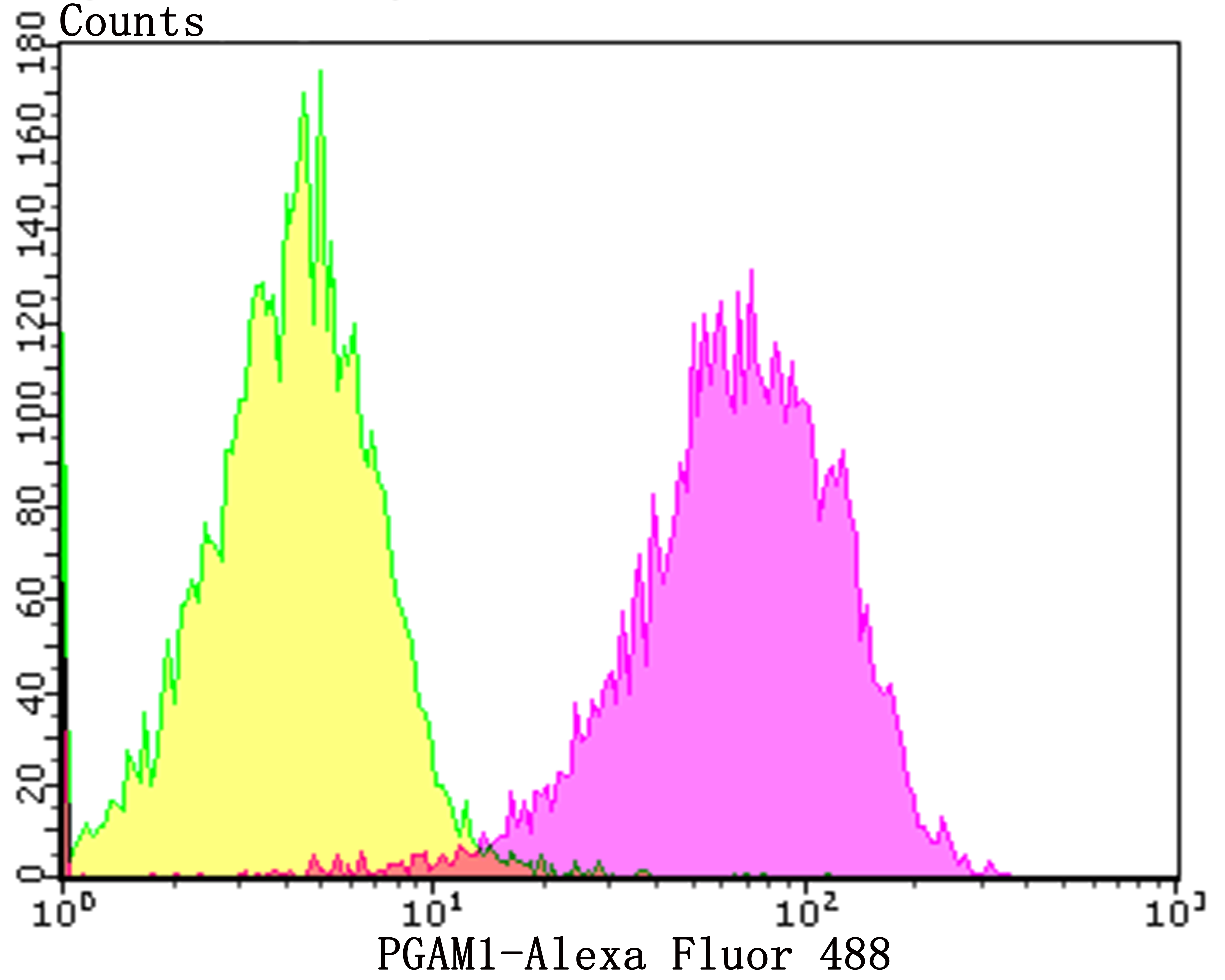 PGAM1 Rabbit mAb