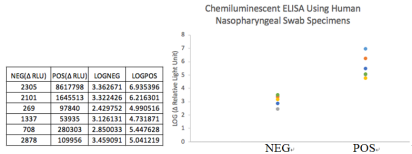 Anti-Nucleocapsid (N) Rabbit Monoclonal Antibody