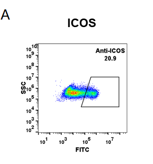 Anti-ICOS (vopratelimab biosimilar) mAb