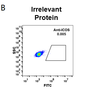 Anti-ICOS (vopratelimab biosimilar) mAb