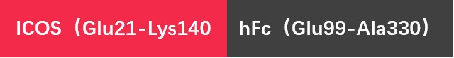 Human ICOS Protein, hFc tag