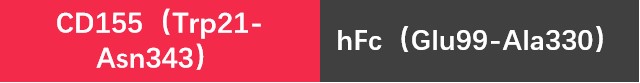 Human CD155 Protein, hFc tag