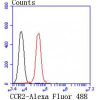 CCR2 Rabbit mAb