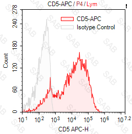 APC anti-human CD5