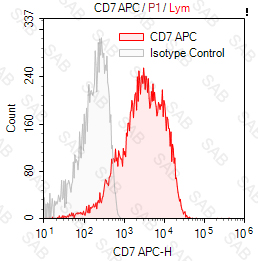 APC anti-human CD7