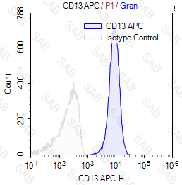 APC anti-human CD13