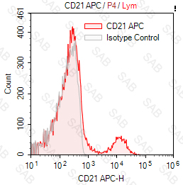 APC anti-human CD21