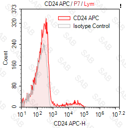 APC anti-human CD24