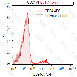 APC anti-human CD24