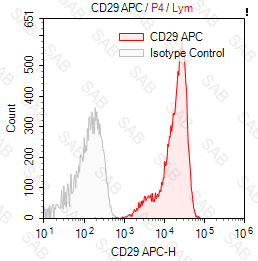 APC anti-human CD29