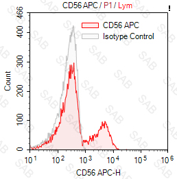 APC anti-human CD56