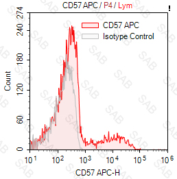 APC anti-human CD57