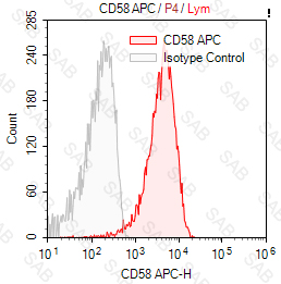 APC anti-human CD58