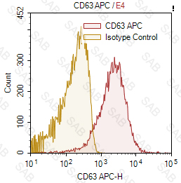 APC anti-human CD63