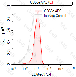 APC anti-human CD66e