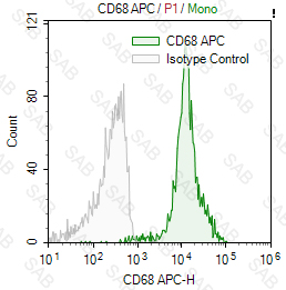 APC anti-human CD68