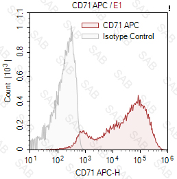 APC anti-human CD71