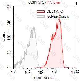 APC anti-human CD81