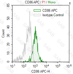 APC anti-human CD86