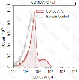 APC anti-human CD103